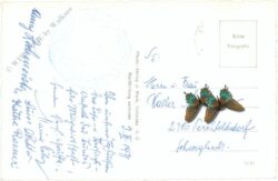 wolfpassing, schloss bei steinakirchen