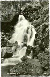 ysperklamm, ansicht