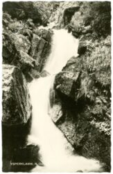 ysperklamm, ansicht