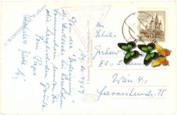 spital am semmering, alois güntherhaus, stuhleck