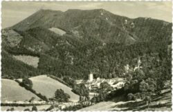 türnitz, mit türnitzer höger