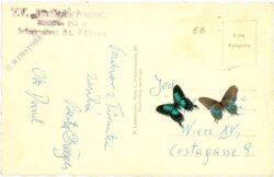 türnitz, ortsansicht