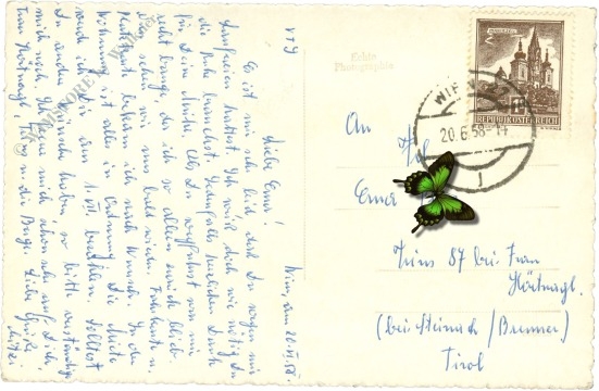 wien 1, rathaus mit rathauspark