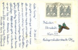 edlitz, gegen hochegg, schneeberg