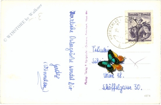 kirchschlag in der buckligen welt, ortsansicht