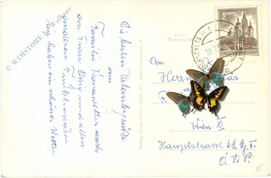 kirchschlag in der buckligen welt, ortsansicht