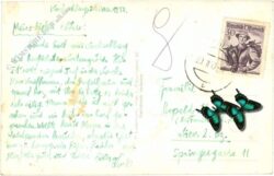 kirchschlag in der buckligen welt, ortsansicht