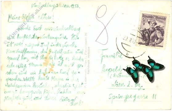 kirchschlag in der buckligen welt, ortsansicht