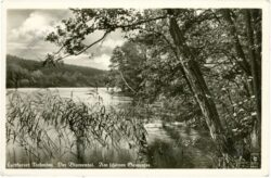 werneuchen, tiefensee, der blumental, am schönen damensee