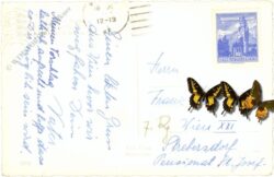 wien 1, michaelerplatz