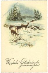 neujahr, rehe am flussufer