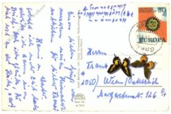 leutkirch, blick von schloss zeil auf leutkirch und allgäuer alpen