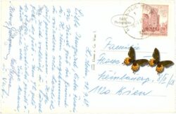 heidenreichstein, burg