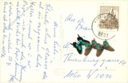 kapellen an der mürz, gegen schneealpe