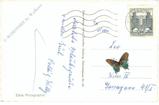 st. johann in tirol, mit wildem kaiser