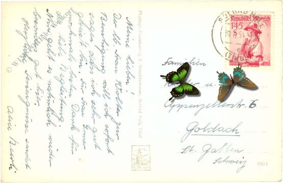 hall in tirol, mit bettelwurf und walderkamm