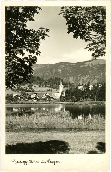 goldegg im pongau, ortsansicht