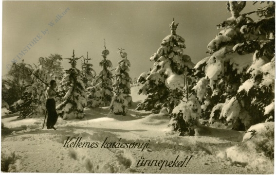 weihnachten, verschneite tannen