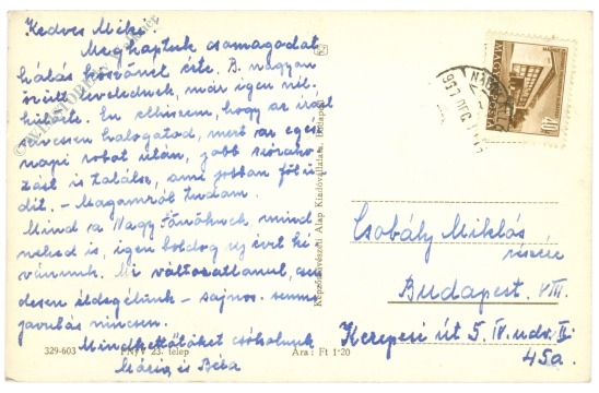 weihnachten, verschneite tannen