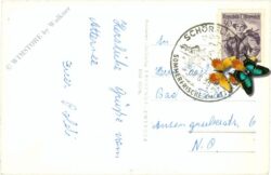kammer am attersee, multiansicht