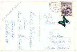 pöllau, ortsansicht