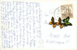 kufstein, hechtsee gegen wilden kaiser