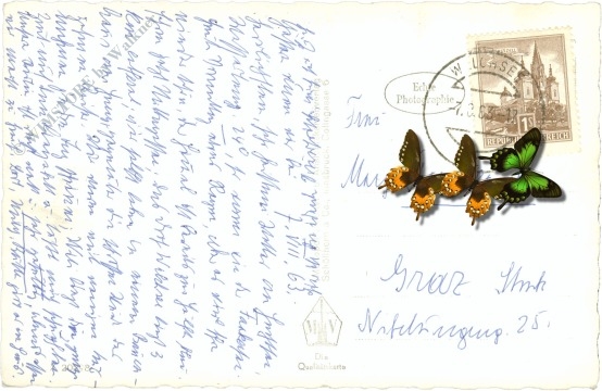 kufstein, hechtsee gegen wilden kaiser