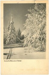 winterlandschaft winterlandschaft
