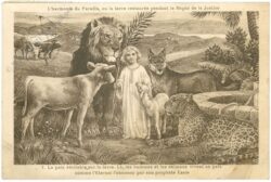 la paix, la nouvelle terre