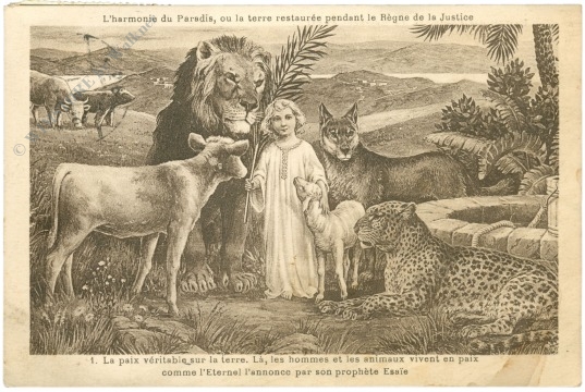 la paix, la nouvelle terre