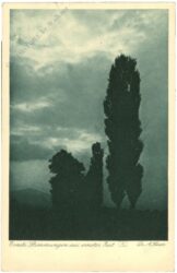 sauer, dr. a.: ernste stimmungen aus ernster zeit