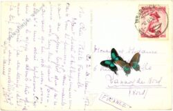 innsbruck, gegen norden