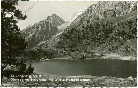 st. jakob im defereggental, obersee am stallersattel mit wild und hochgail