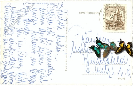 st. jakob im defereggental, obersee am stallersattel mit wild und hochgail