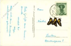 innsbruck, maria theresienstraße