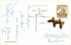 kitzbühel, mit wildem kaiser