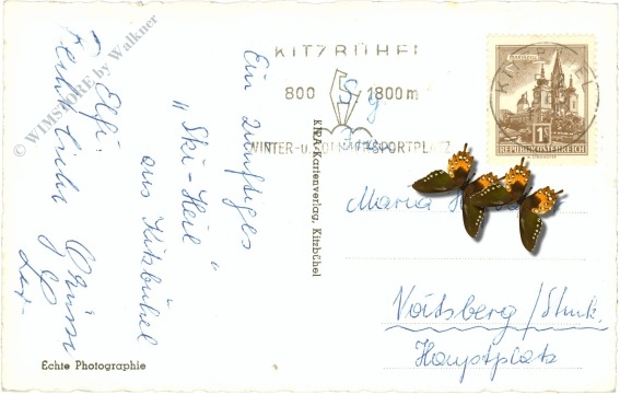 kitzbühel, mit wildem kaiser