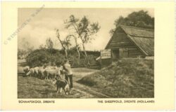 drenthe, the sheepfold