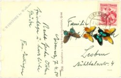 ostern, blühende landschaft