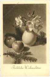 weihnachten, christrose mit Äpfeln