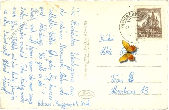 haus im ennstal, krummholzhütte am hauser kaibling mit dachstein