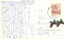 peggau, lurgrotte, piniengruppe