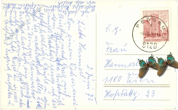 peggau, lurgrotte, piniengruppe