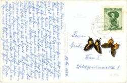 kirchberg am wechsel, ortsansicht