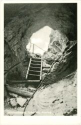 furth an der triesting, steinwandklamm, türkenloch, ausstieg