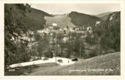 gutenstein, ortsansicht