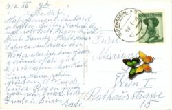 gutenstein, ortsansicht