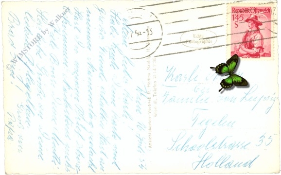 wien 1, blick vom rathaus mit burgtheater