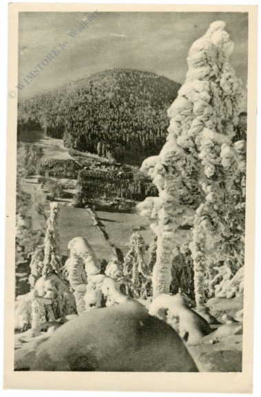 lausche, winter lausche, winter