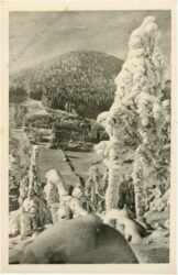 lausche, winter lausche, winter